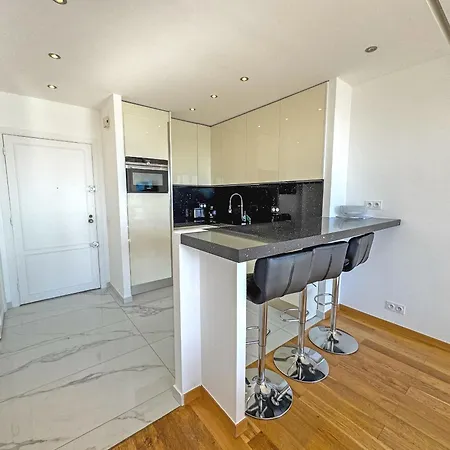 Cariatides - Promenade Apartment Nice